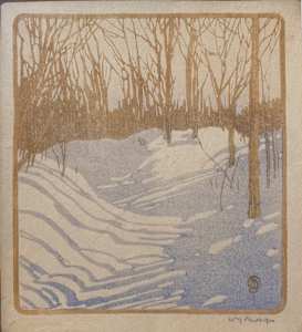 Winter Sunshine