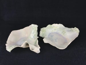 Wave Form Duo , River Fog