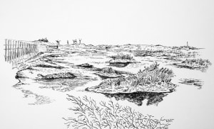 Little Islands