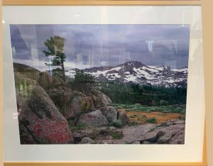 Stormy Carson Pass