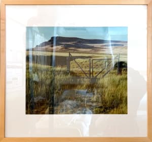 Altered Landscape