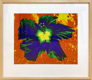 Hibiscus