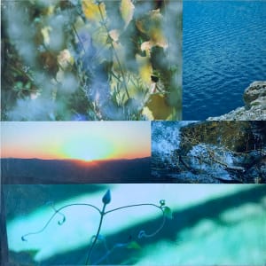 Pop Nevada – Elements