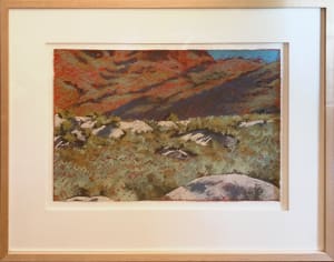 Blitzen and Navajo