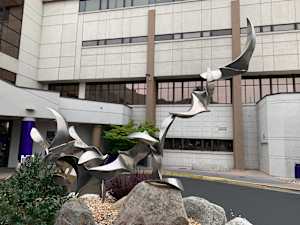 Outdoor Bird Sculptures