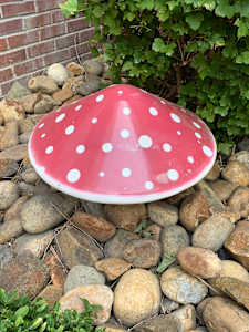 Mushrooms (1 of 2)