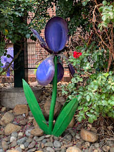 Large Flowers (1 of 2)