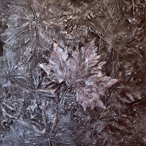Frosty Morning