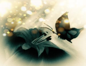 A Fleeting Moment