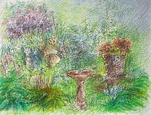 Garden Sketch
