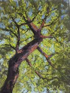 Skyward