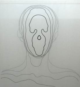 Facial Topography