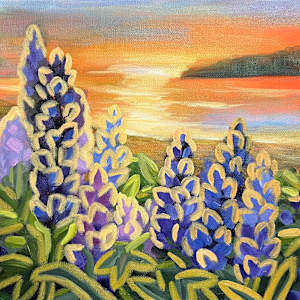 Sunset Lupins