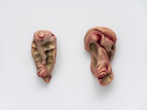 Concha e Falo [Shell & Phallus]