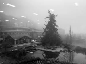 Fog From the Inside
