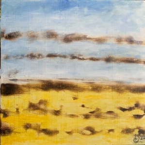 Fields and Sky
