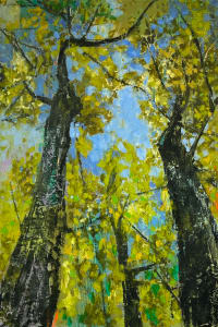 Symphonic Canopy