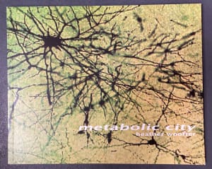 Metabolic City