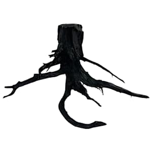 Forest Ghost  Remnants II