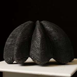Koju soku ati Afrocombs