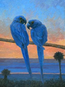 Blue Macaws on the Beach