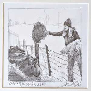 Becky Feeding Steers