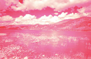 Untitled (pink lake)