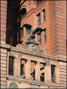 The Eagle