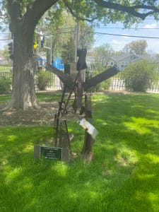 It's a Bird, It's a Plane