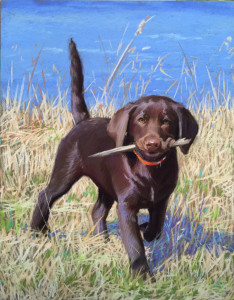First Fetch