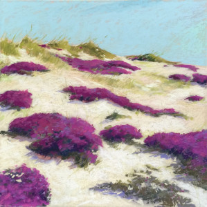 Pink Beach Scrub