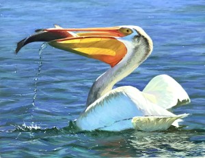 Fresh Catch