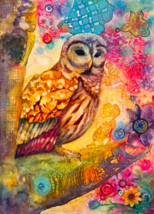 An Owl Visits in the Night