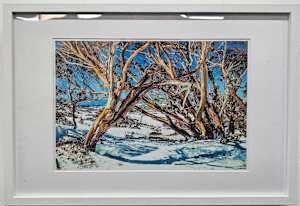 Perisher Snowgums #7