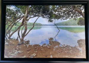 South Coast Reflections - Mimosa Rocks National Park