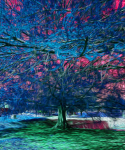 Blanco River Tree Blue