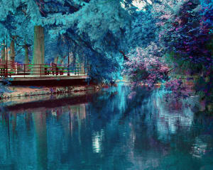 Brackenridge Park Cyan