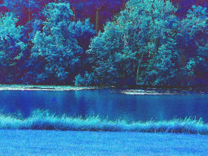 Guadalupe River Blue