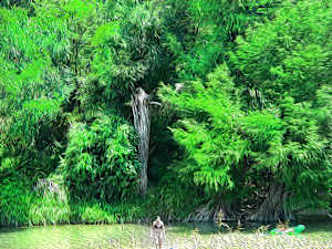 Guadalupe River Summer