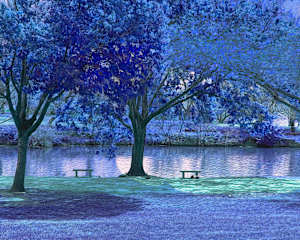Spring Park Blue (small)