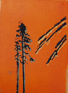 The lonely pines - 48/50