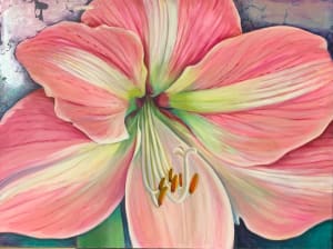 Pink Amaryllis