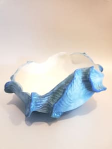 Ocean Shell Vessel