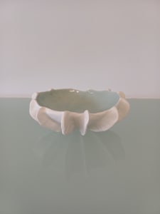 Reef  Finned Bowl V
