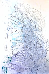 Networks