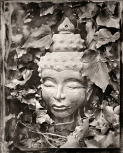 Buddha