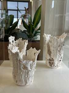 Deterioration and Degradation