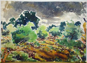 Apples Trees and Dark Sky