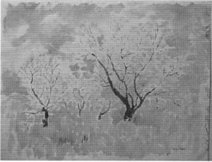 Trees in Blossom