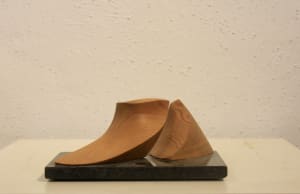 Sea Lions - Cedar Series 008